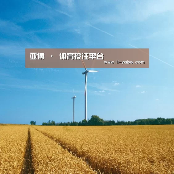 风能