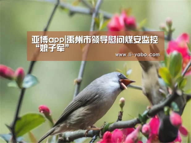 亚博app|禹州市领导慰问煤安监控“娘子军”(图1) 亚博app