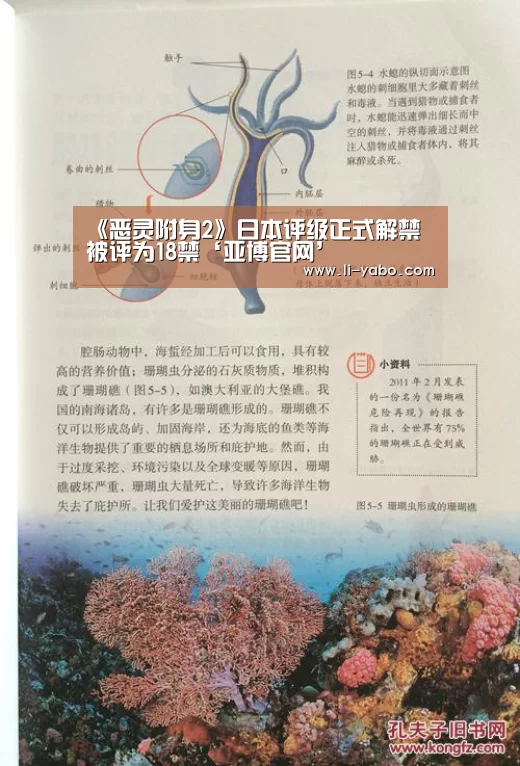 《恶灵附身2》日本评级正式解禁 被评为18禁‘亚博官网’(图1) 亚博体育